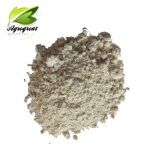 Agrochemicals fungicide carbendazim 80 WP, 50%WP powder